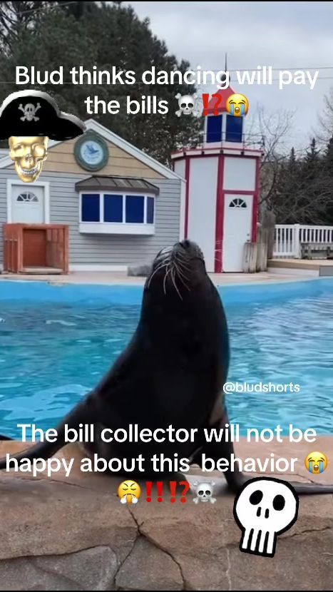 TikTok video thumbnail by bludshorts