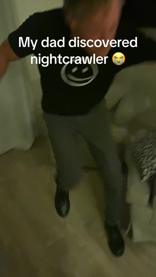 TikTok video thumbnail by jaakemacdonald