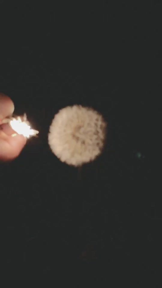 TikTok video thumbnail by kacie.gregory