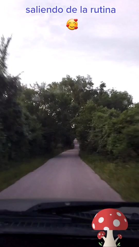 TikTok video thumbnail by nellybadely