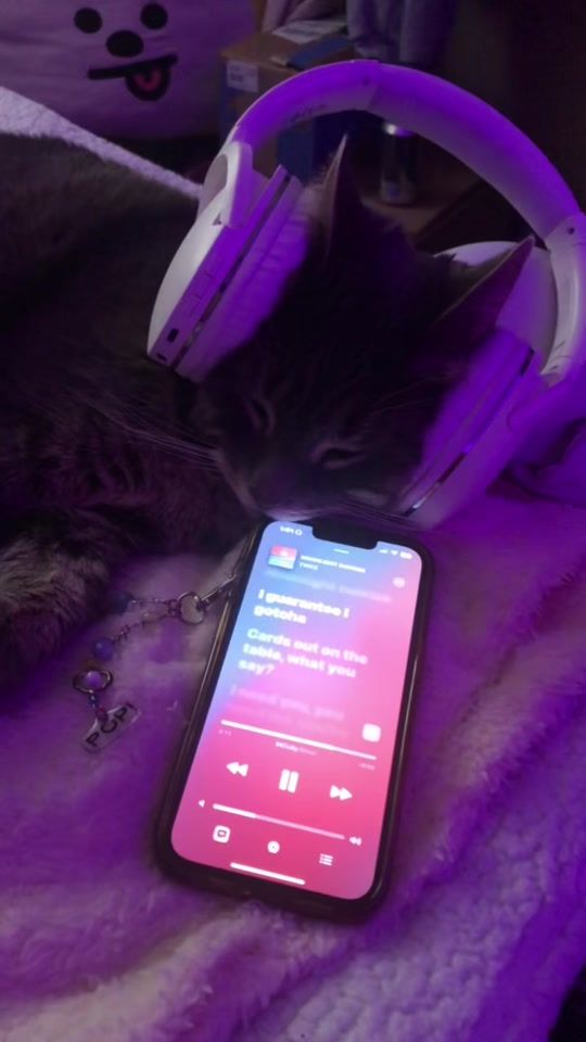 TikTok video thumbnail by yunjcat