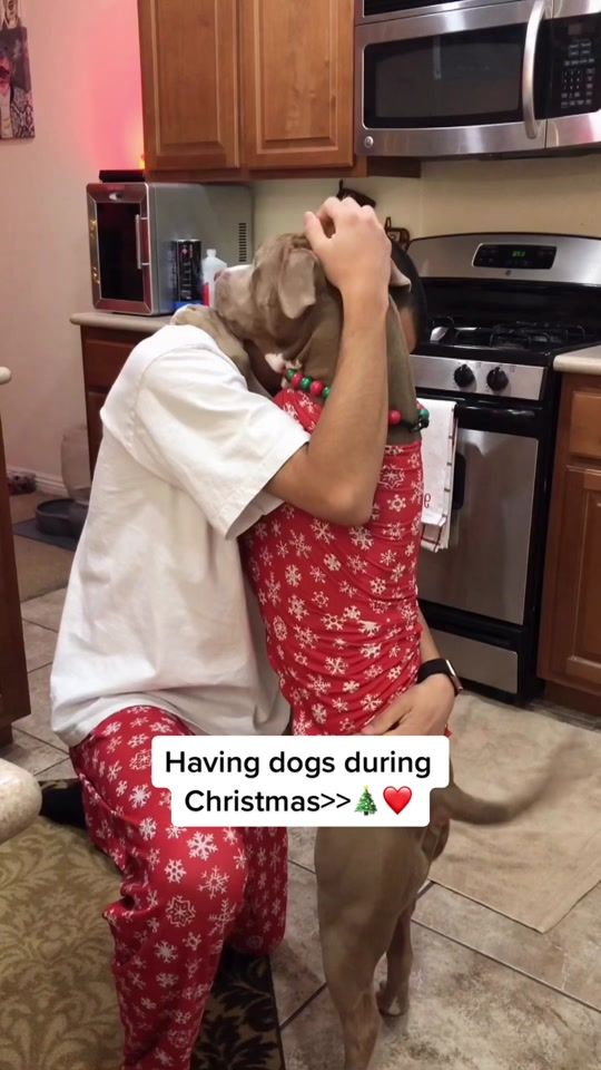 TikTok video thumbnail by knight_thepit