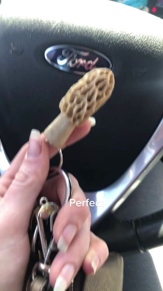 TikTok video thumbnail by helloimlippa