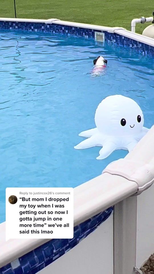 TikTok video thumbnail by melissaksims