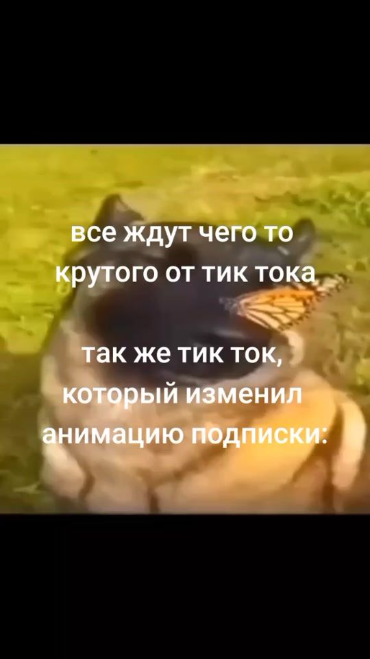 TikTok video thumbnail by kiyotakkka