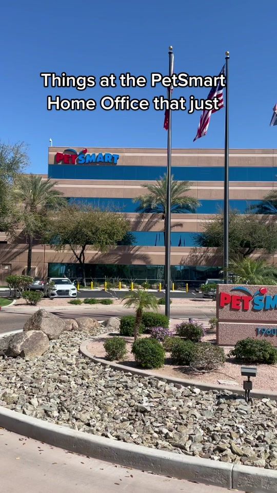 TikTok video thumbnail by petsmart