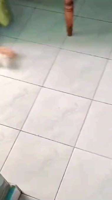 TikTok video thumbnail by lzccat