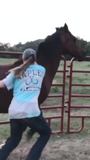 TikTok video thumbnail by horse..trainer