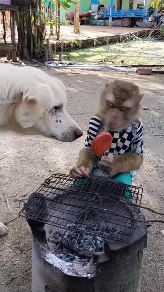 TikTok video thumbnail by thih6405