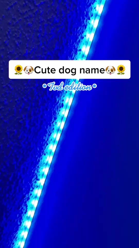 TikTok video thumbnail by hayley.sire