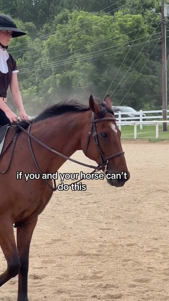 TikTok video thumbnail by kr.equine