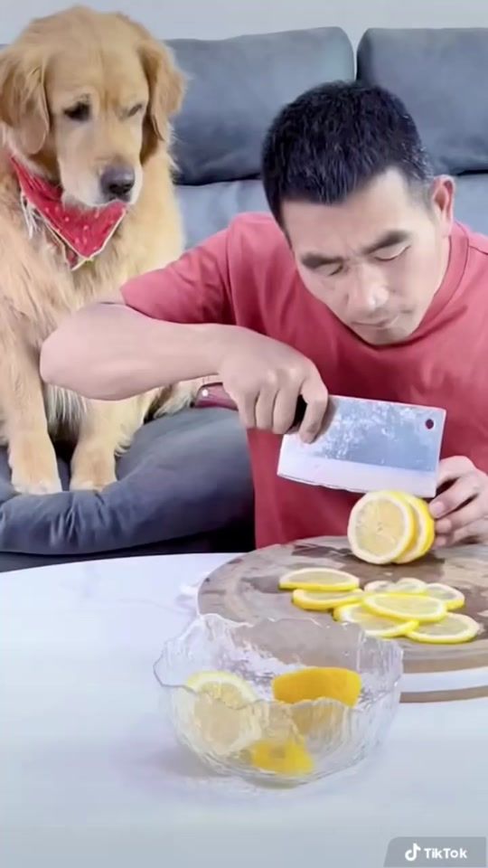 TikTok video thumbnail by thucungdethuong50