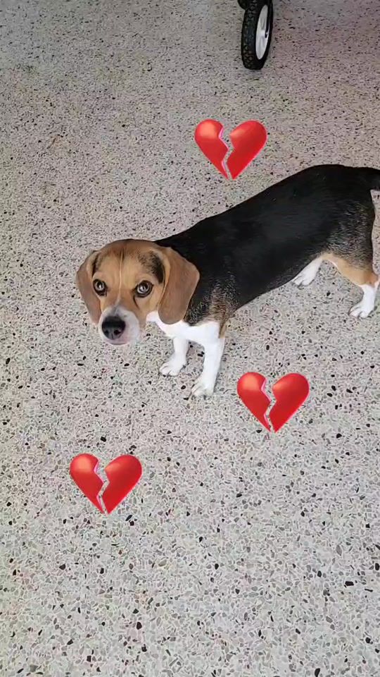 TikTok video thumbnail by renitahanson