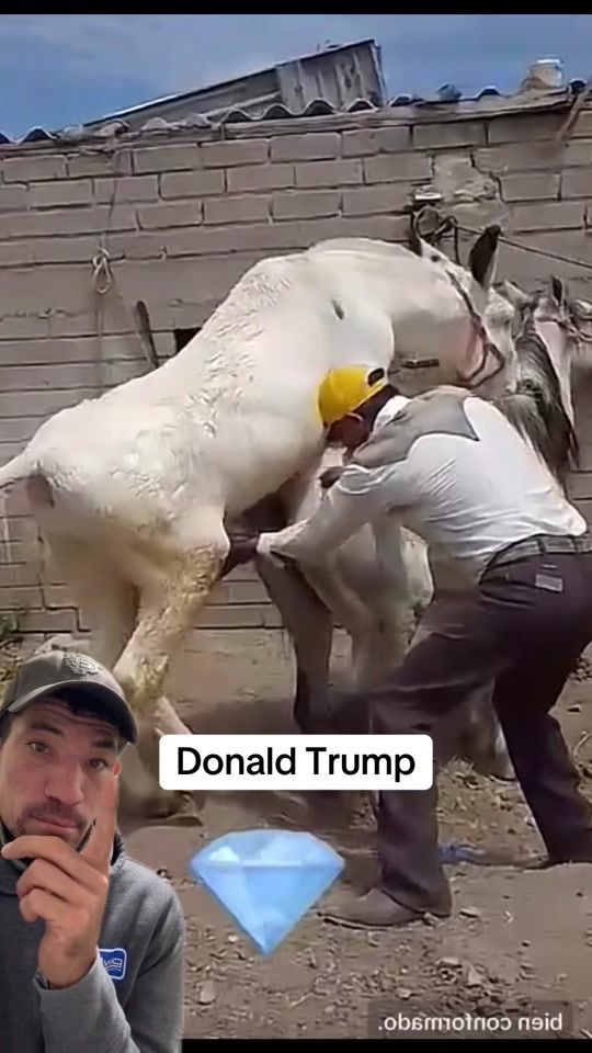 TikTok video thumbnail by magon375_animals