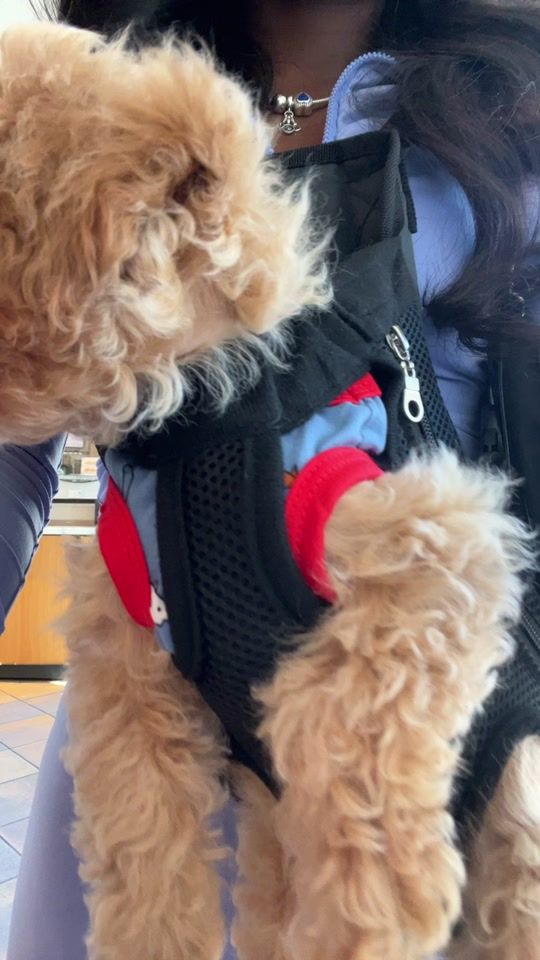 TikTok video thumbnail by othatsbrianna