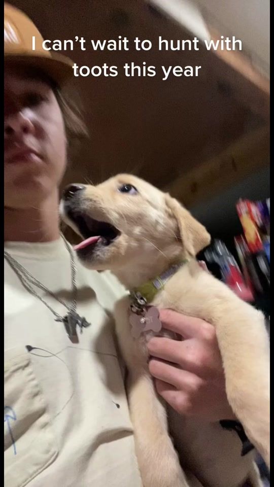 TikTok video thumbnail by brandtpaul