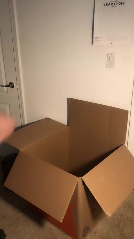 TikTok video thumbnail by onlyjayus
