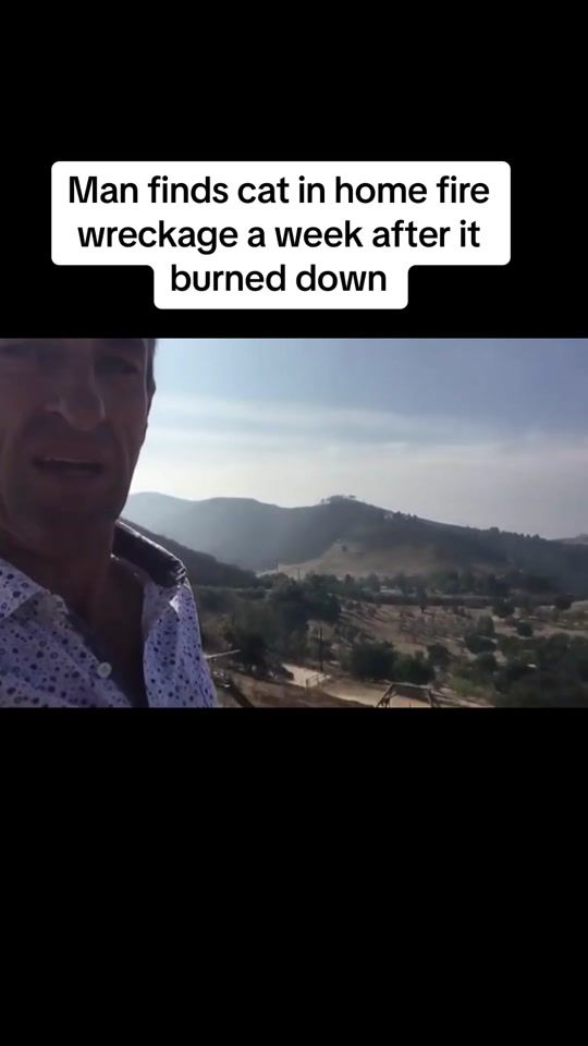 TikTok video thumbnail by jonny1of1