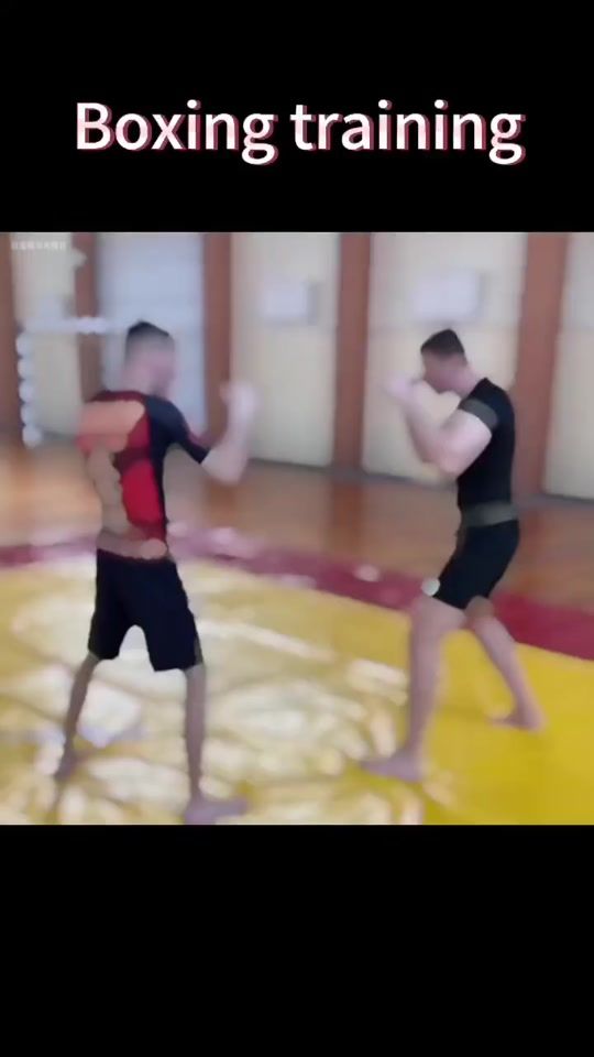TikTok video thumbnail by fighting_kungfu666