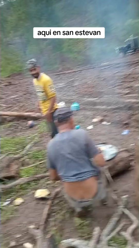 TikTok video thumbnail by santons1993