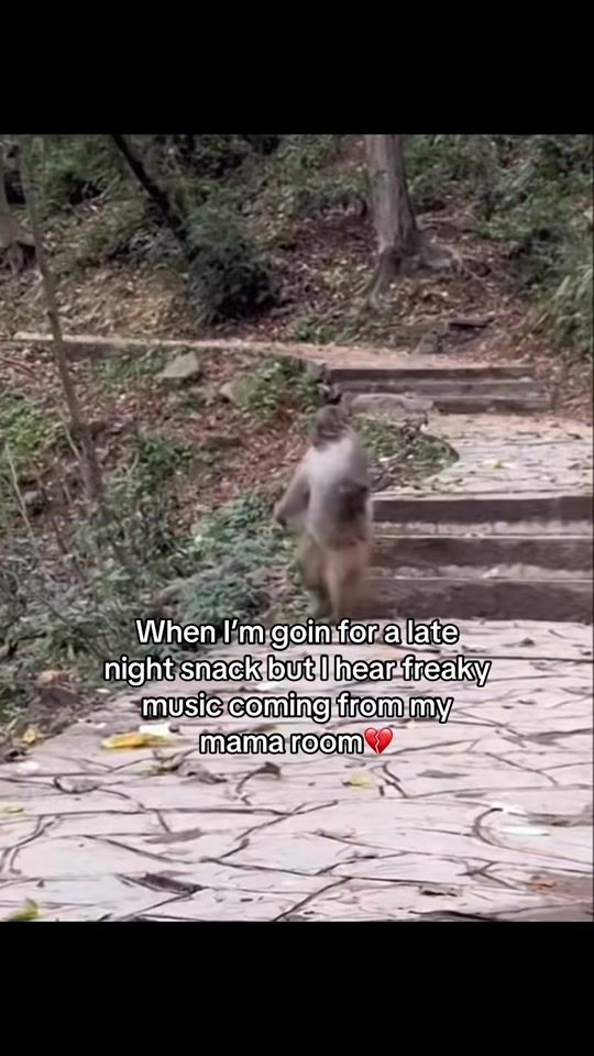 TikTok video thumbnail by justmarqj
