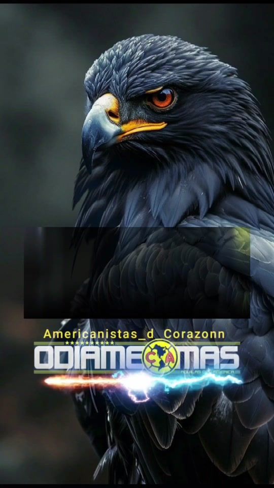 TikTok video thumbnail by americanistas_d_corazonn
