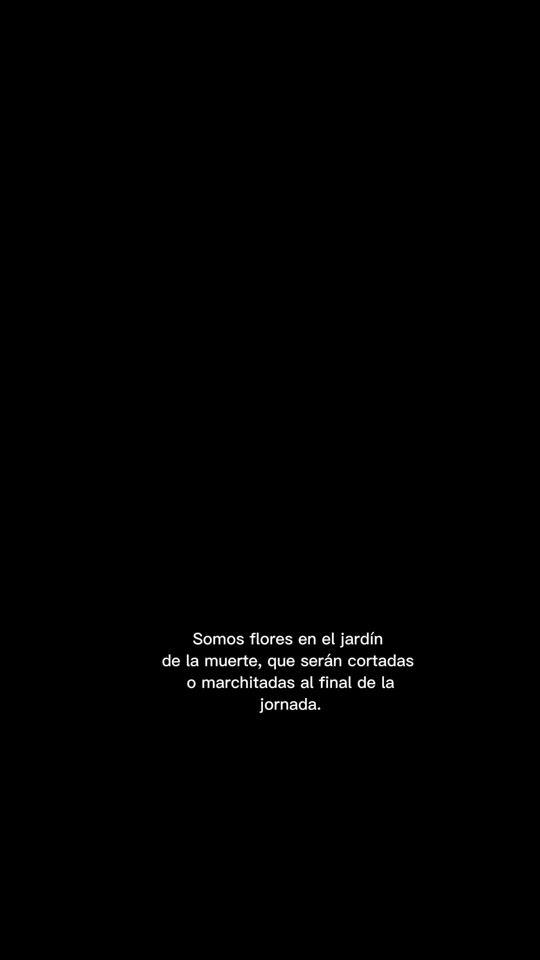 TikTok video thumbnail by nora_guillens