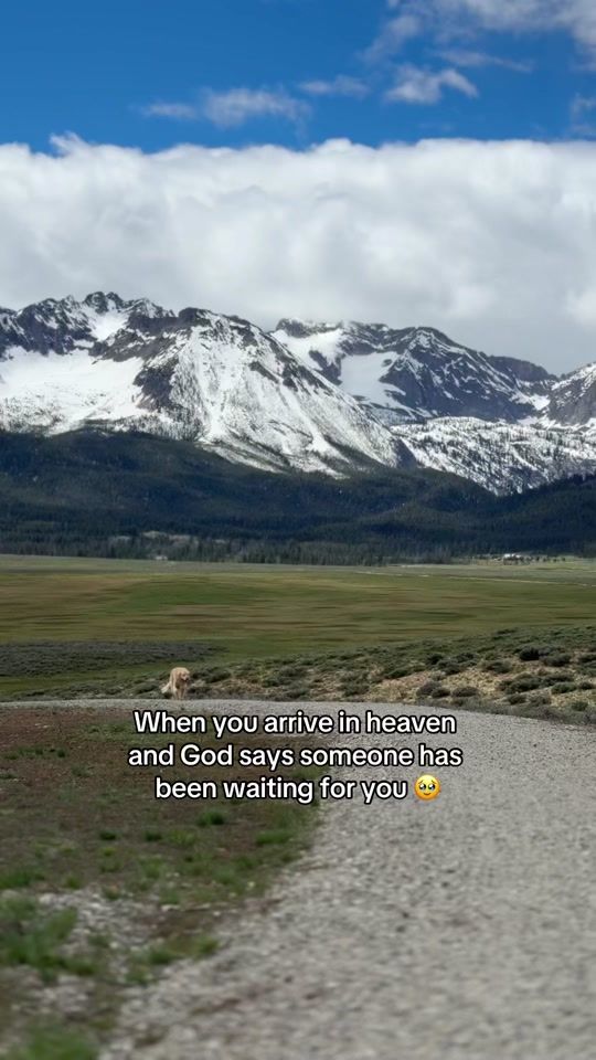 TikTok video thumbnail by aspenriveradventures