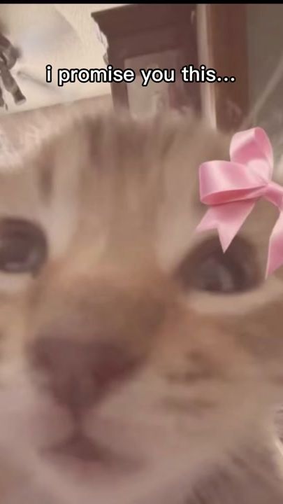 TikTok video thumbnail by div4life8