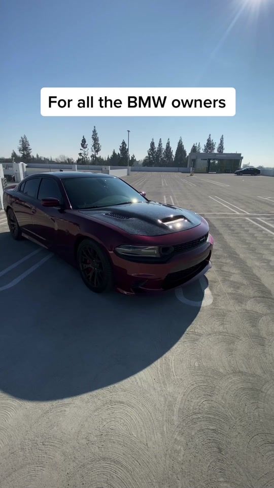 TikTok video thumbnail by slw.cat