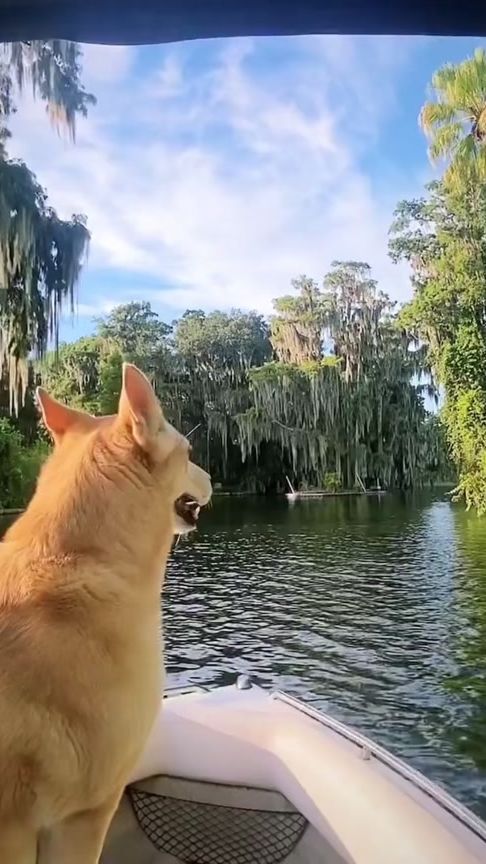 TikTok video thumbnail by knotty.girl