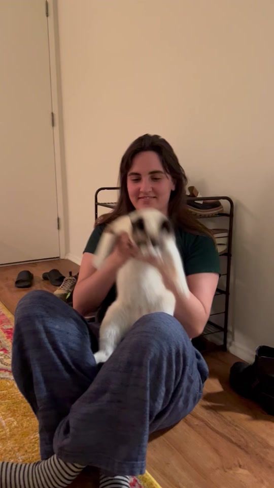 TikTok video thumbnail by heymazie