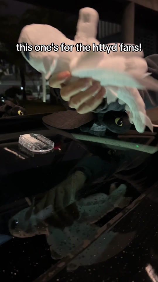 TikTok video thumbnail by carmoody