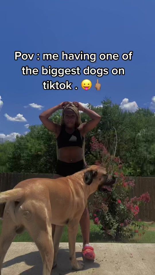 TikTok video thumbnail by dinero.za