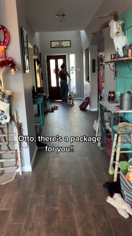TikTok video thumbnail by caseyriveter