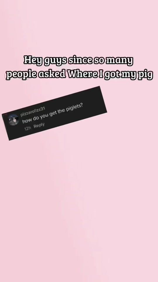 TikTok video thumbnail by piper.the.piglet