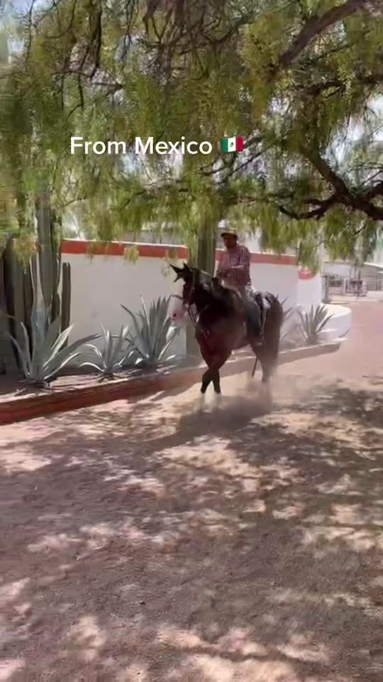 TikTok video thumbnail by ivettesaucedo