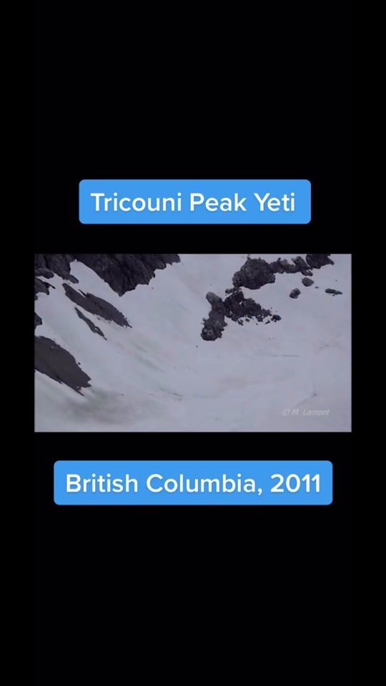 TikTok video thumbnail by thesquatchisreal