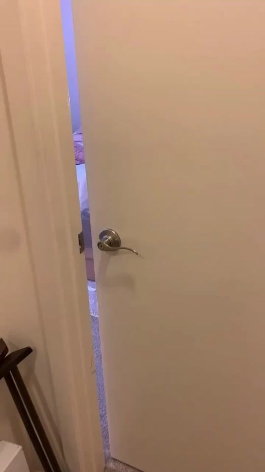 TikTok video thumbnail by lelepons
