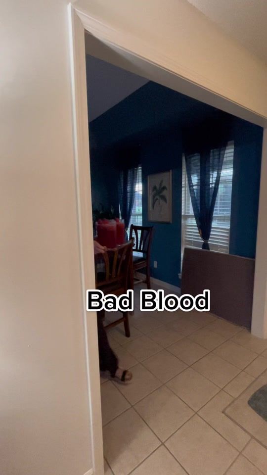 TikTok video thumbnail by danielle13_