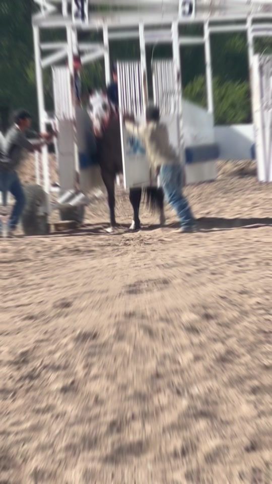 TikTok video thumbnail by ltwin520