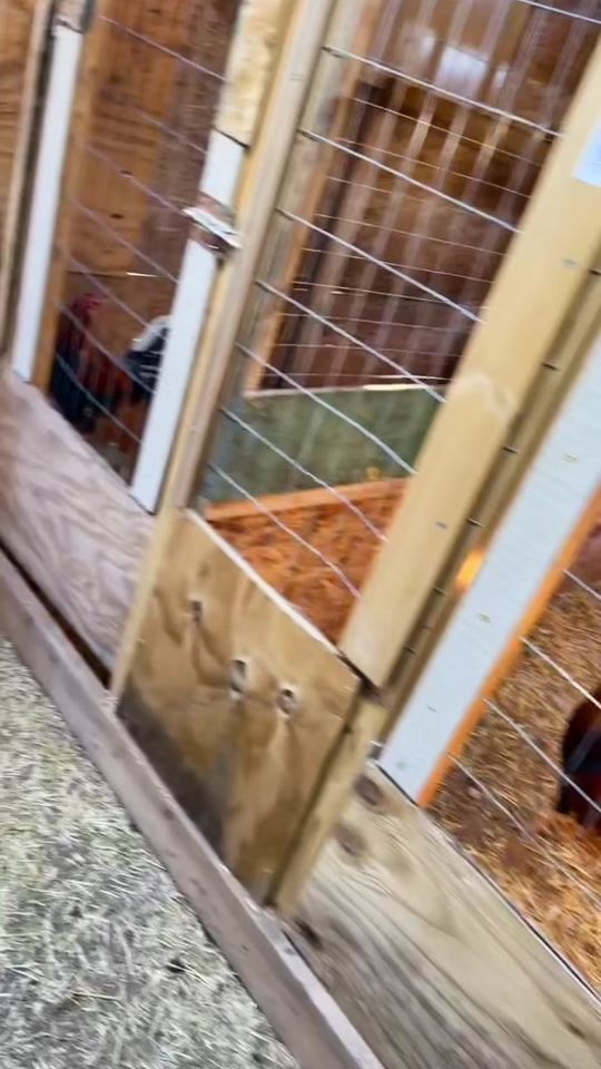 TikTok video thumbnail by tinos_gf