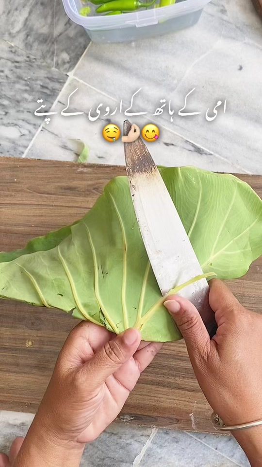 TikTok video thumbnail by thenoors_diary