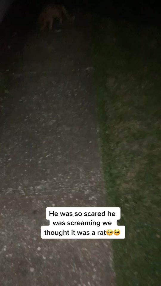 TikTok video thumbnail by dollboyy618