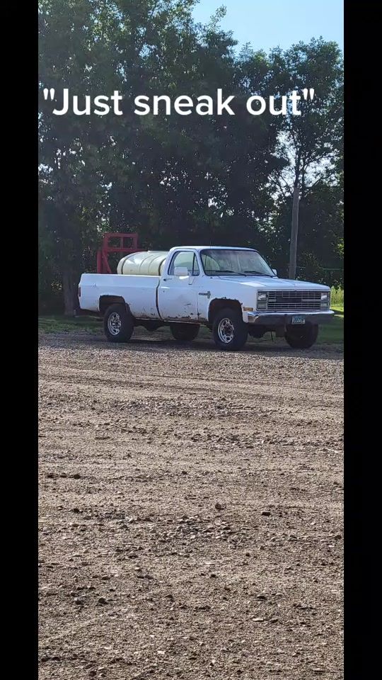 TikTok video thumbnail by schepp.farms