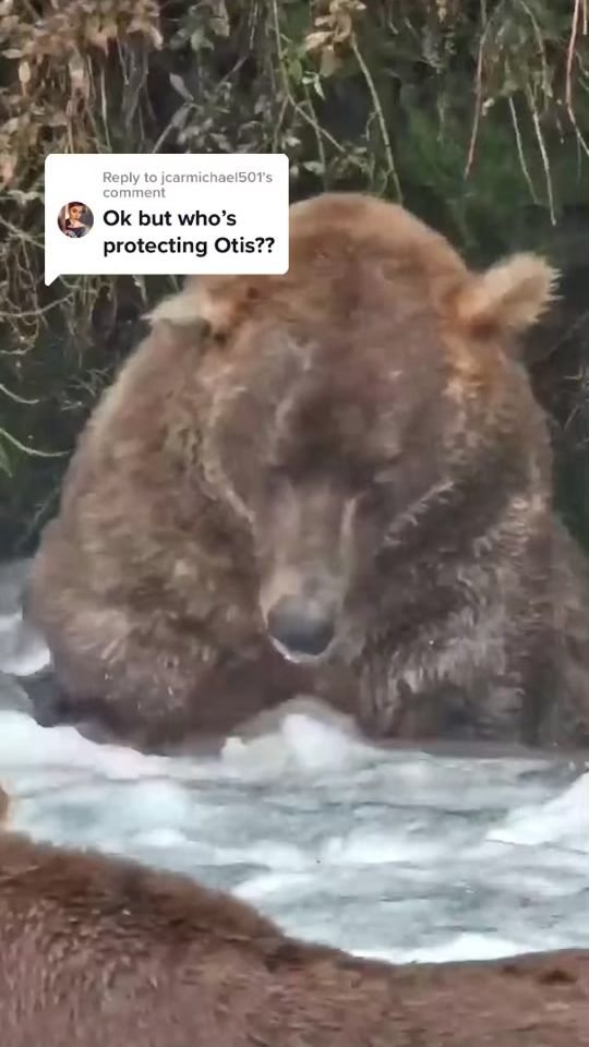 TikTok video thumbnail by exploreorg