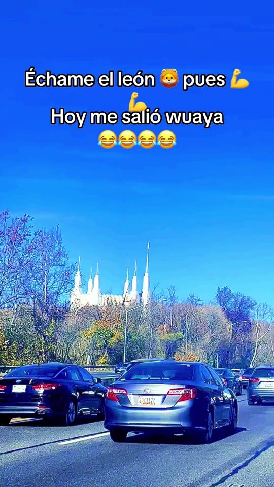 TikTok video thumbnail by llego_papi_504