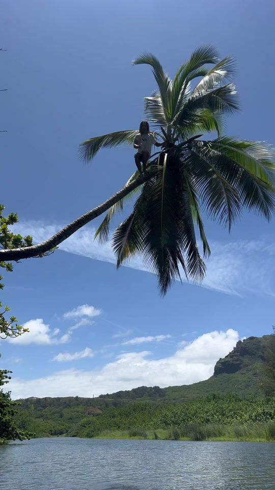 TikTok video thumbnail by _hawaiixxkona_