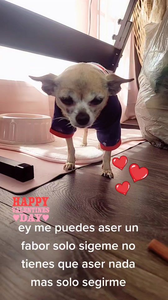 TikTok video thumbnail by patitasdescalzas