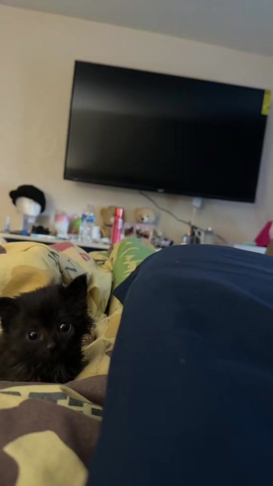 TikTok video thumbnail by 5t.ar